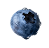 Big Blueberry