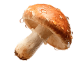 Small Mushroom